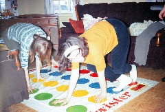 Becky Dorrough; twister